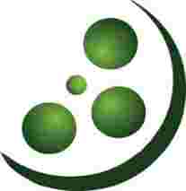YIFY series torrents